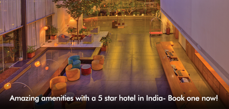 amazing-amenities-with-a-5-star-hotel-in-india-book-one-now